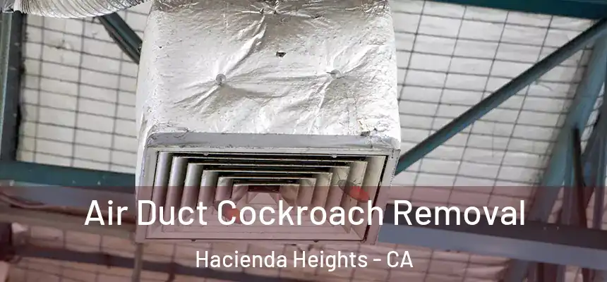  Air Duct Cockroach Removal Hacienda Heights - CA