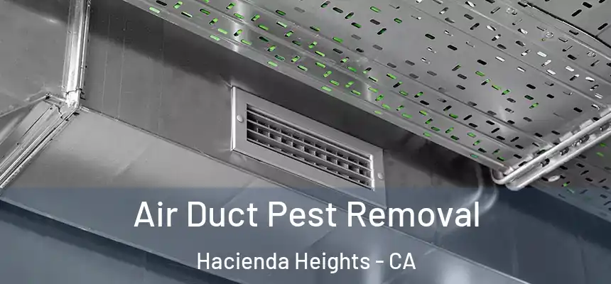  Air Duct Pest Removal Hacienda Heights - CA