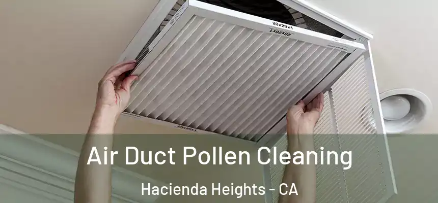  Air Duct Pollen Cleaning Hacienda Heights - CA