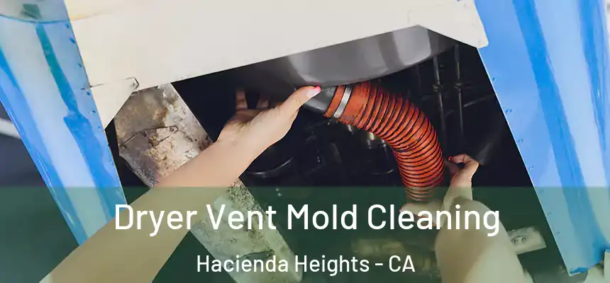  Dryer Vent Mold Cleaning Hacienda Heights - CA