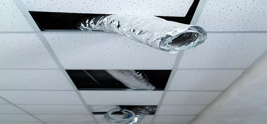 Affordable HVAC Sanitizing After Pest Removal in Hacienda Heights