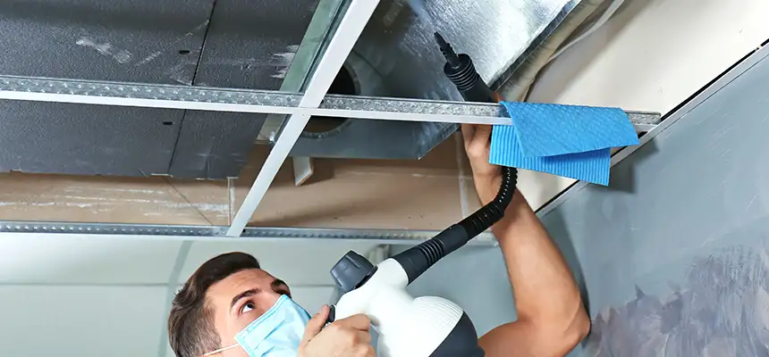 Our Air Duct Rodent Removal Services in Hacienda Heights, CA