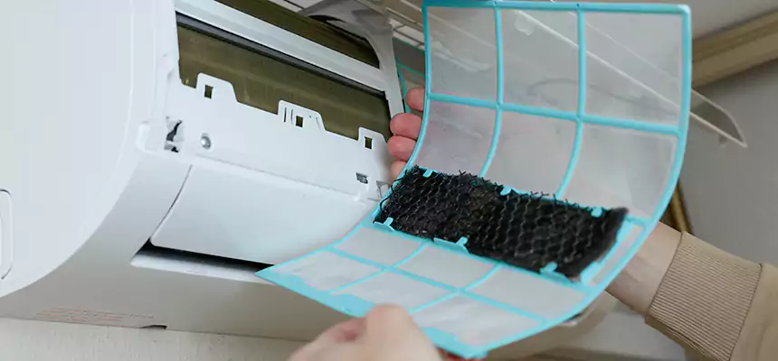 Gentle Ductwork Odor-Control Pet Dander Duct Cleaning in Hacienda Heights, CA