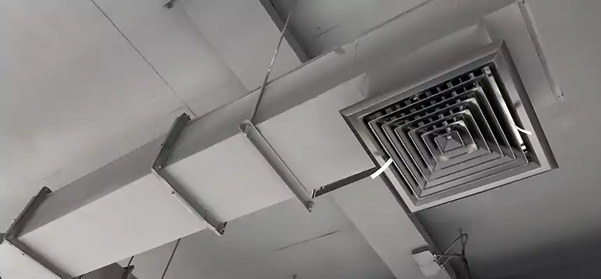 Our Rodent Droppings In Vents Services in Hacienda Heights, CA