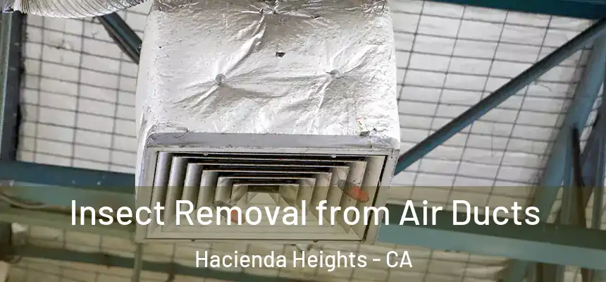  Insect Removal from Air Ducts Hacienda Heights - CA