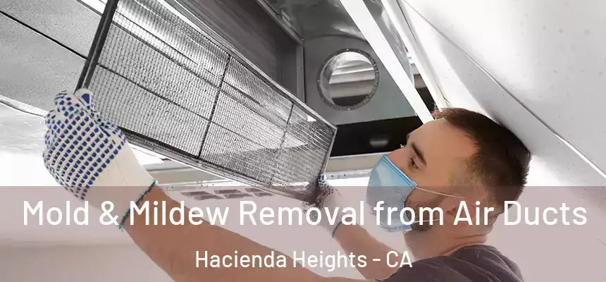  Mold & Mildew Removal from Air Ducts Hacienda Heights - CA