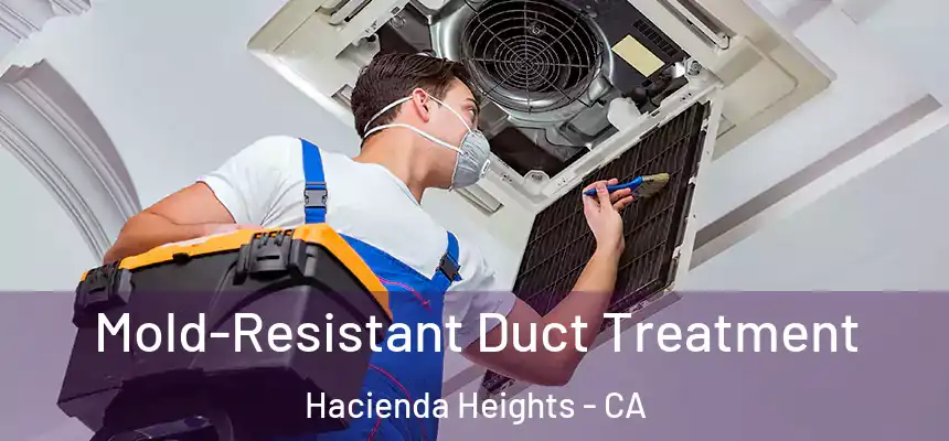  Mold-Resistant Duct Treatment Hacienda Heights - CA