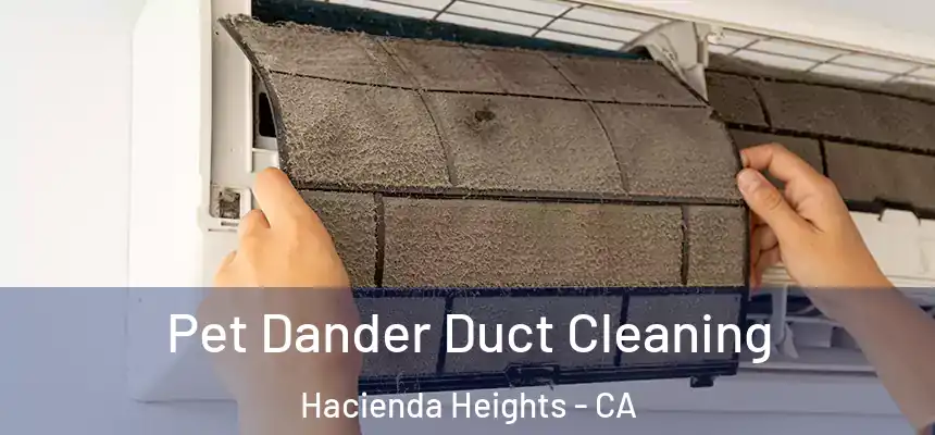  Pet Dander Duct Cleaning Hacienda Heights - CA