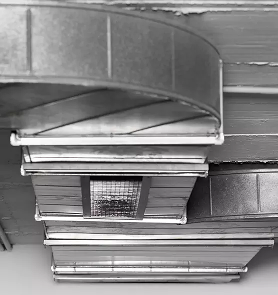 Professional Air Duct Pet Hair Removal in Hacienda Heights, CA