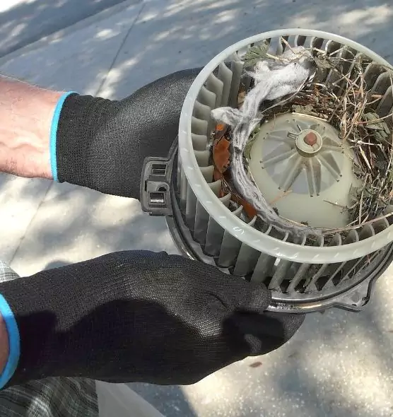 About Air Duct Rat Removal in Hacienda Heights, CA