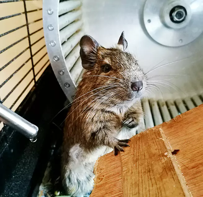 Why Homeowners & Businesses Trust Us Hacienda Heights, CA?