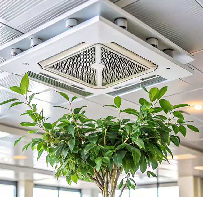 Why Homeowners & Businesses Trust Us in Hacienda Heights, CA?