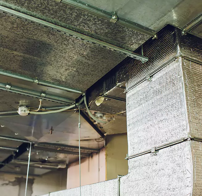 Why Homeowners & Businesses Trust Us in Hacienda Heights, CA?